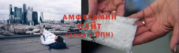 шишки Кирсанов