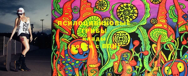 спиды Киселёвск